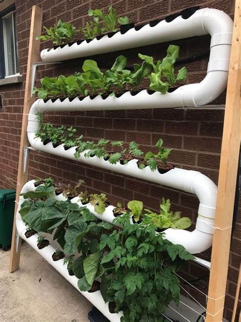 How To Make Home Garden And Fresh Vegetables By PVC Pipe To See More