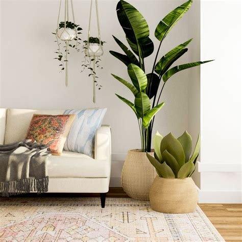 Fake Plants For Living Room Baci Living Room