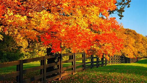 When Do Fall Colors Peak In Ohio Heres A Fall Foliage Timeline