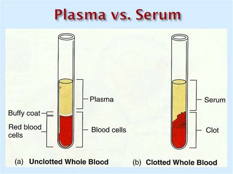 Blood biochemistry - online presentation