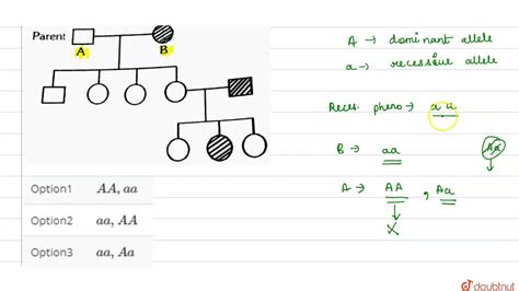 How to determine a genotype from a pedigree. Given pedigree shows inheritance of autosomal recessive ...