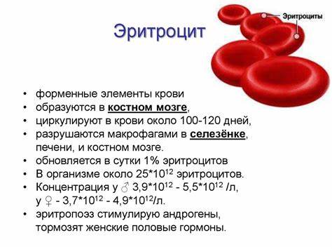 Как повысить гемоглобин и похудеть