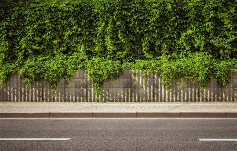 Road Side View Stock Photos Pictures And Royalty Free Images Istock
