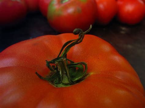 Tomatoes Vegetables Benefit Free Photo On Pixabay Pixabay