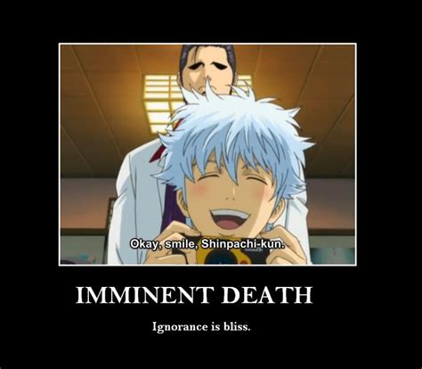 Gintama Gintoki Is Always Up For The Challenge Anime Memes Funny Comedy Anime Anime Funny