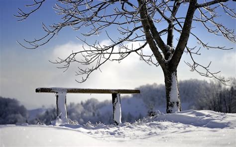 Winter Bench Snow Trees Wallpaper Coolwallpapersme