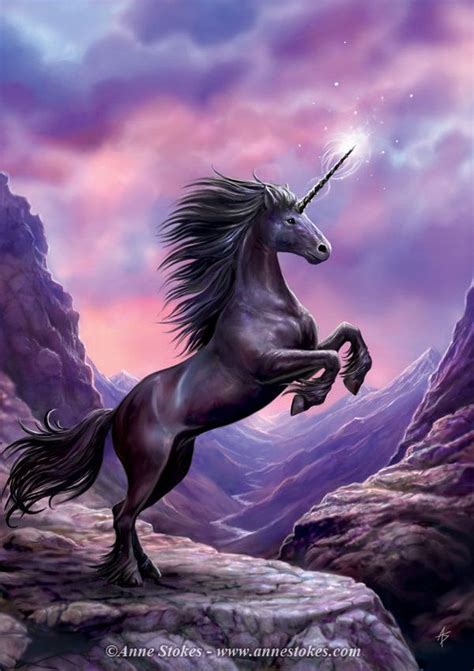 Black Unicorn By Ironshod Unicorn And Fairies Mythical Creatures
