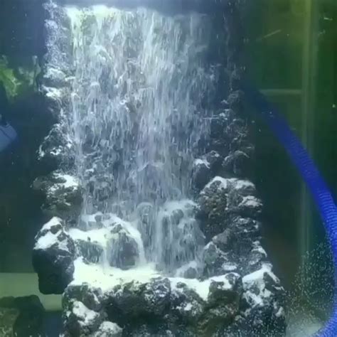 We did not find results for: DIY Waterfall In Aquarium in 2020 | Diy waterfall, Waterfall, Diy succulent terrarium