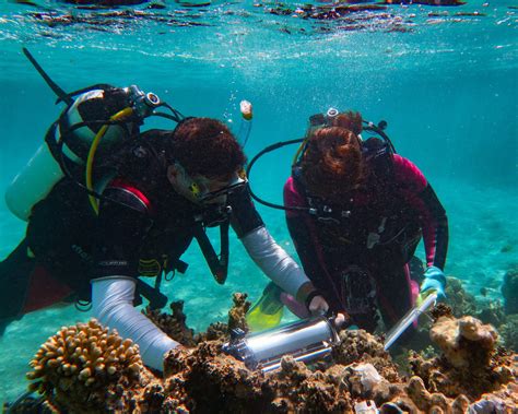 Diving Into Ocean Science