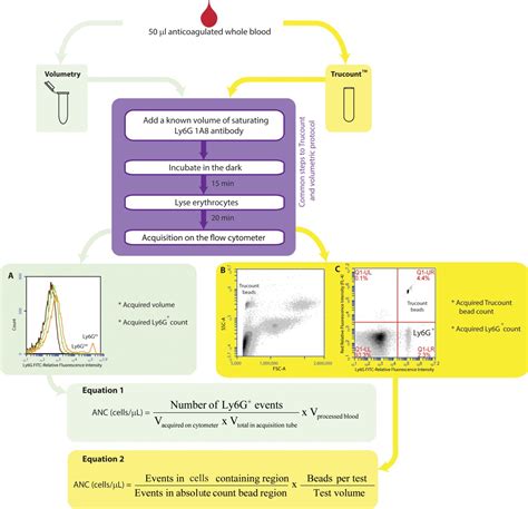 Absolute Counting Of Neutrophils In Whole Blood Using Flow Cytometry