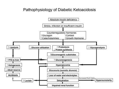 Figure 1 [pathophysiology Of Diabetic Ketoacidosis ] Endotext Ncbi Bookshelf