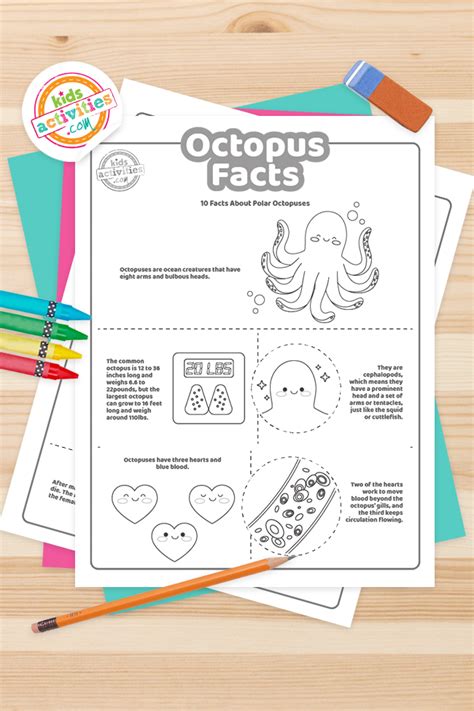 Fun Octopus Facts For Kids To Print And Learn Kids Activities Blog
