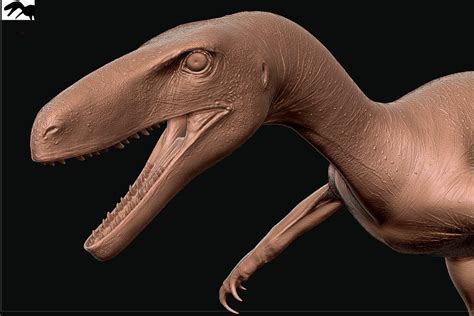 CoolioArt Commissions Open On Twitter Deinonychus Skin Sculpt