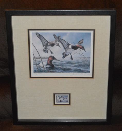1980 Minnesota Duck Stamp Framed Print Canvasbacks De James A Etsy