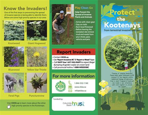 A New Education Tool To Prevent The Spread Of Harmful Invasive Species