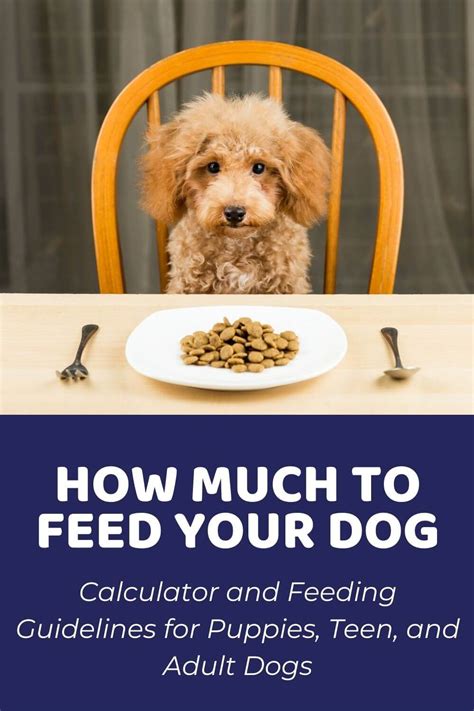 Quick Answer How Much Dog Food Per Pound