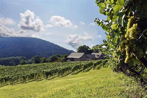 10 Must Visit Wineries In Virginia