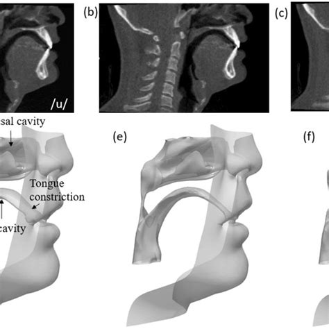 Ct Images And Vocal Tract Geometry Of A The End Of Vowel U To C Download Scientific