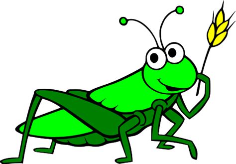 Collection Of Grasshopper Png Pluspng