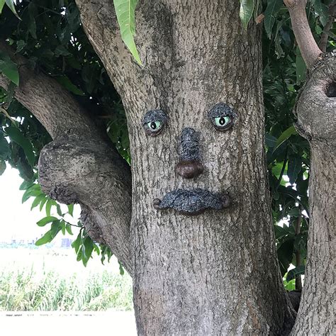 Old Man Tree Face Sculpture Whimsical Tree Hugger Garden Etsy