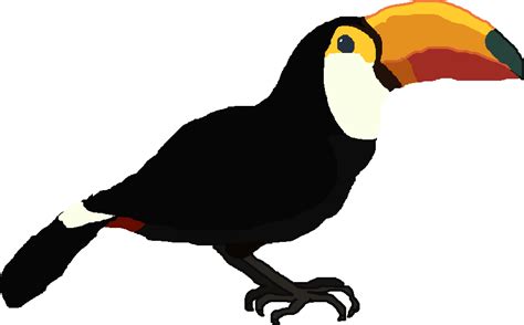 Image Toco Toucanpng All Birds Wiki Fandom Powered By Wikia