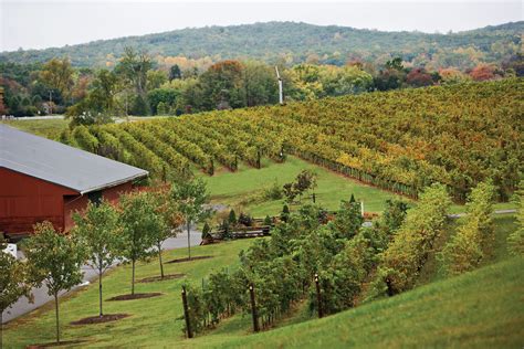 Virginia On The Vine Virginia Wine Country Virginia Is For Lovers