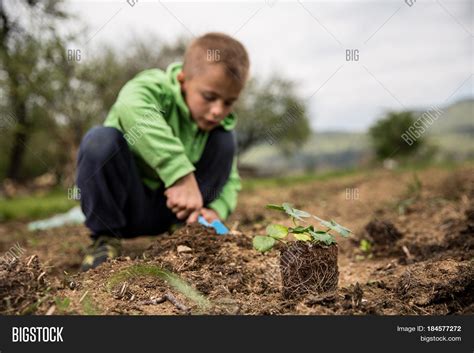 Young Boy Planting Image And Photo Free Trial Bigstock