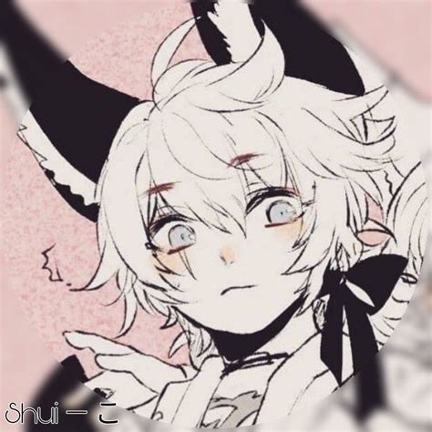 Anime Cat Boy Matching Pfp I Can Never Find Slide Shows Of Cat Boys