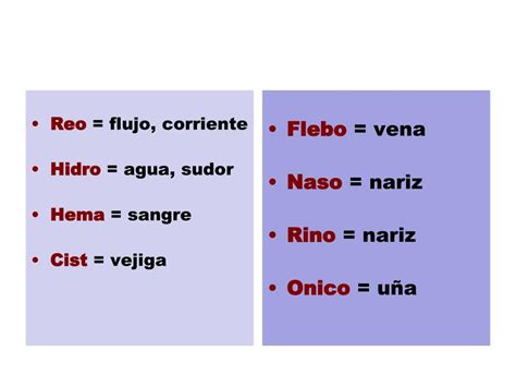 PPT - Etimologías griegas PowerPoint Presentation, free ...