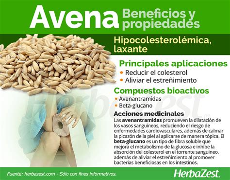 Pin En Hierbas Para La Salud