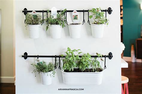 Tips For Set Up An Indoor Herb Garden In Your Kitchen