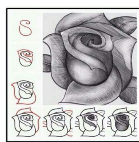 Pasos Para Dibujar Una Rosa Draw A Rose Drawings Drawing Tutorial