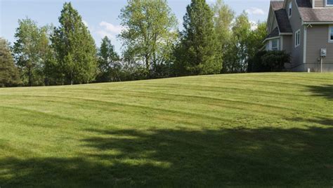 How To Stripe Your Lawn