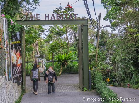 Visit the habitat, an interesting nature walk set on top of penang hill. Looking for Nature on Penang Hill? 5 Reasons You'll Love ...
