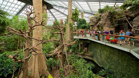 Henry Doorly Zoo