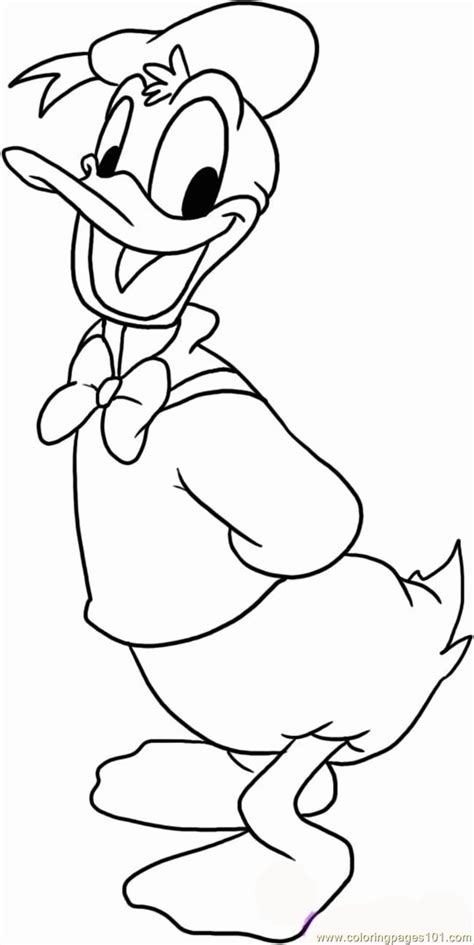 Print them to teach your kids all about these interesting birds. Coloring Pages Of Daffy & Daisy Duck - Coloring Home
