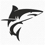 Shark Icon Icons Vector Ocean Danger Move