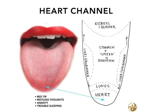 How Does A Healthy Persons Tongue Look Like