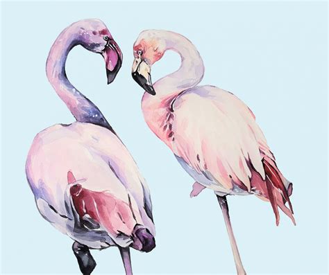 Flamingo Watercolor Painting Free Stock Photo Public Domain Pictures