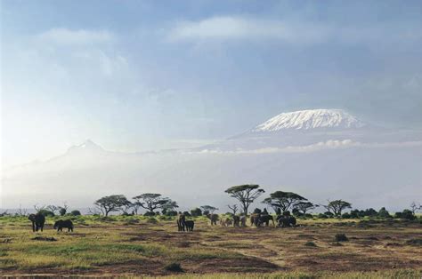 Find kilimanjaro hike tips and detailed information on mt kilimanjaro. Safari w Kenii Amboseli Tsavo Kilimandżaro - Newsweek.pl - Styl Życia - Newsweek.pl