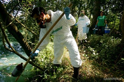 Trabajamos por un mundo más verde y pacífico. Greenpeace denuncia a la empresa Brenntag responsable del ...