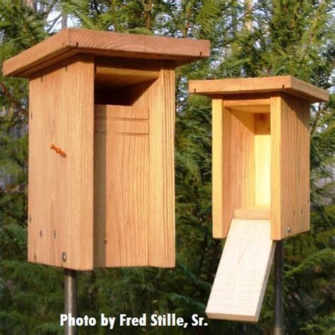This collection of floor plans has an indoor or outdoor pool concept figured into the home design. Nest Box Plans | Bird house, Bird house plans, Unique bird ...