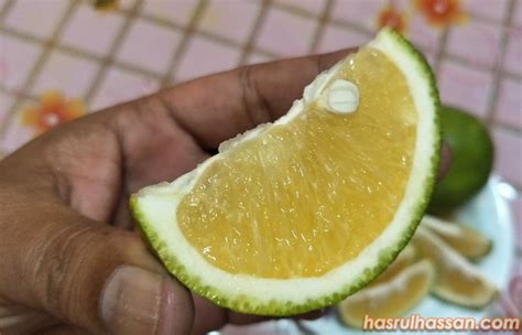 Perak guna kpi tahun depan. Sedapnya Rasa Limau Sunkist Malaysia