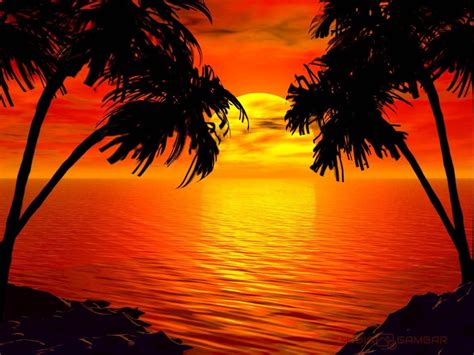 Ada dua buah pohon kelapa di pinggiran pantai. Pemandangan Di Tepi Pantai Pada Waktu Senja