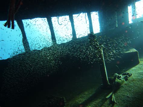 Red Sea Underwater Bridge