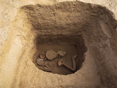 Million Year Old Homo Erectus Skull Found In China ORDO News