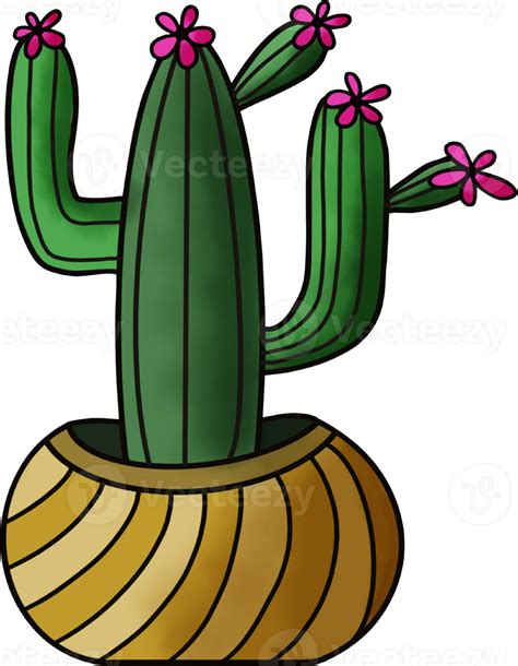 Free Cactus Drawing Isolated 22353952 Png With Transparent Background