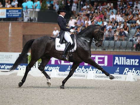 Find derivations skins created based on this one; 67+ Dressage Wallpaper on WallpaperSafari
