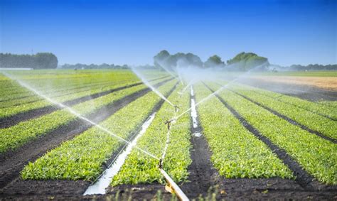 IRRIGATION SYSTEMS TYPES AND THEIR BENEFITS Leap4fnssa