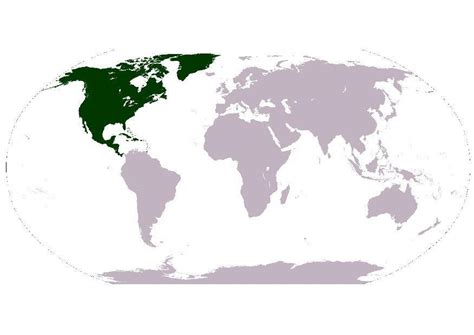 We did not find results for: Bilde Nord-Amerika - Gratis Bildene